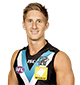 HamishHartlett
